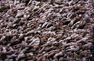 Дорожка Шегги 1м (sh/r/60)