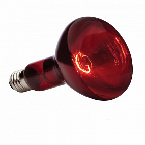 Лампы ИКЗК R125 100W E27