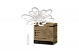 Люстра LED 120Вт 3000-6500K 607х535х85мм c пультом ДУ белый ELEGANT IRIS IN HOME